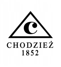 CHODZIEŻ KAMELIA B014 ZŁOTA LINIA Talerz płytki 19 cm / porcelana