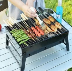 HAGE Grill przenośny węglowy kompaktowy 35x27x20 cm w walizce stalowy