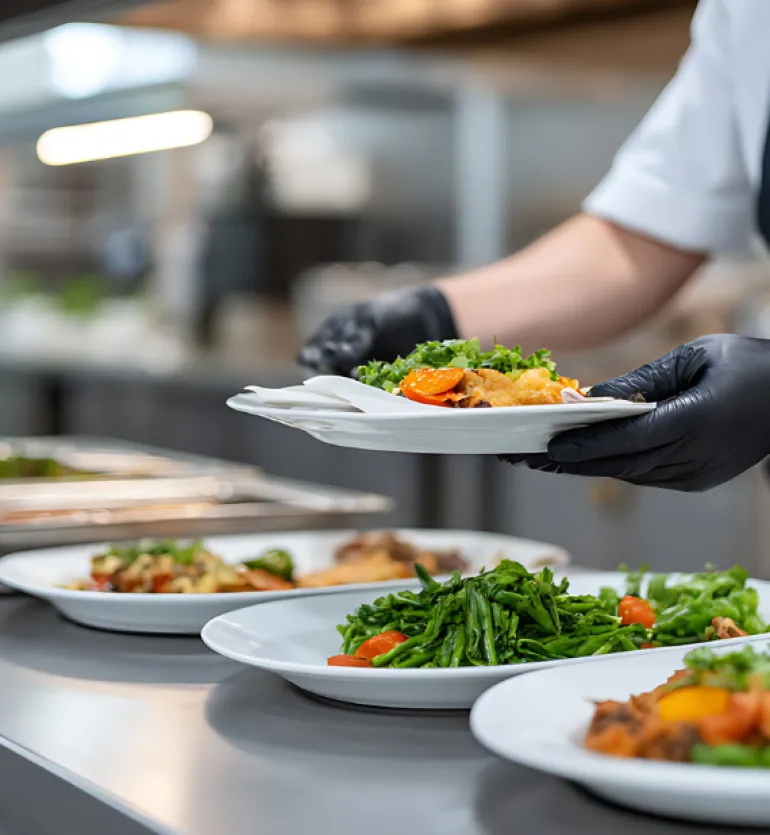 LUBIANA CORONA 0613 Talerz płytki 23,5 cm x 60 sztuk | biała porcelana