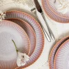LUBIANA STONEWARE BLUSH | Talerz obiadowy 27 cm x 6 szt. | luz | kolor łososiowy