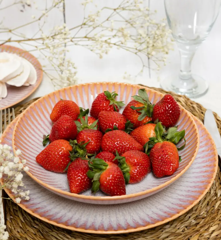 LUBIANA STONEWARE CERAMIKA | BLUSH | Serwis obiadowy 54 elementy dla 18 osób | kolor łososiowy