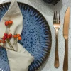 LUBIANA STONEWARE CERAMIKA / COSMOS / Serwis obiadowy 36 elementów dla 12 osób / odcień niebieskiego