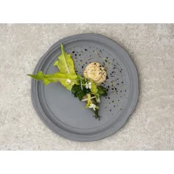 REVOL No.W Talerz obiadowy 26 cm szary / glina ceramiczna