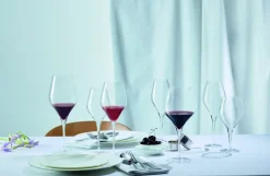 SCHOTT ZWIESEL Komplet kieliszków do wina Burgund 660 ml 6 szt.
