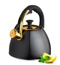 STARKE PRO GRAVA Czajnik z gwizdkiem 2.5 l / indukcja / czarny
